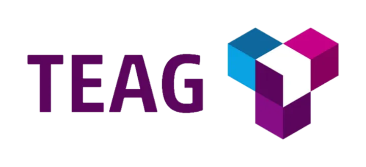 Teag Logo farbig